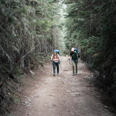 Abisko Hybrid Trail Trs W