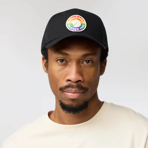 Rainbow Cap