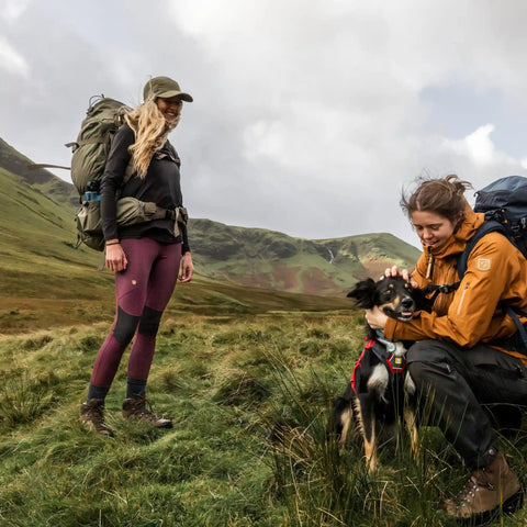 Abisko Trekking Tights HD W
